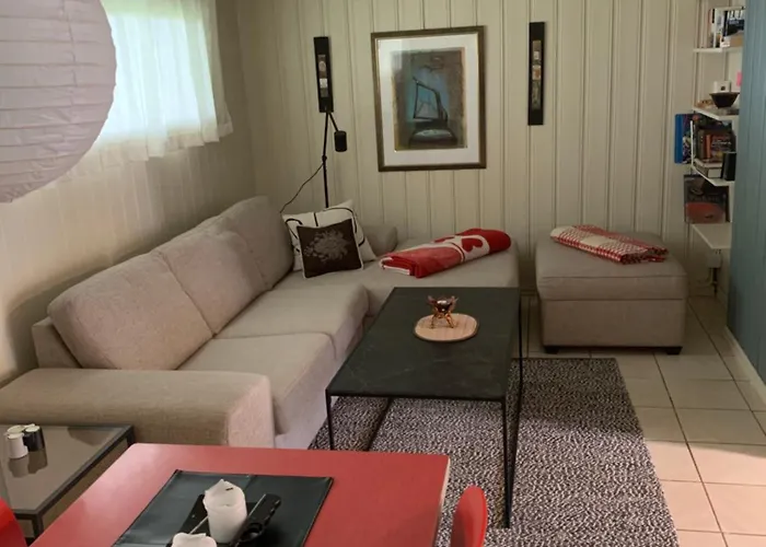 Sentrumsnaer Kjellerleilighet, Naer Sykehus Og Hogskole, Parkering Apartamento