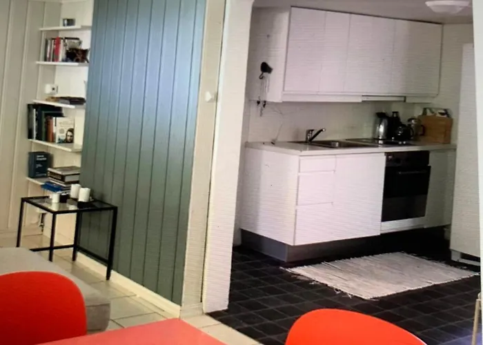 Sentrumsnaer Kjellerleilighet, Naer Sykehus Og Hogskole, Parkering *