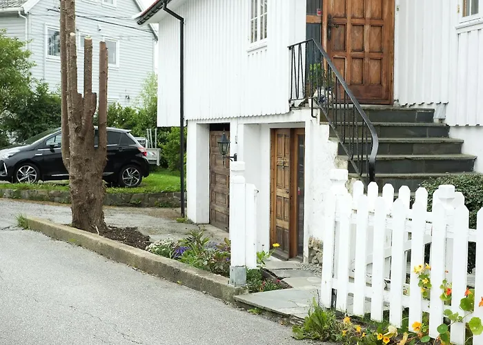 Sentrumsnaer Kjellerleilighet, Naer Sykehus Og Hogskole, Parkering *